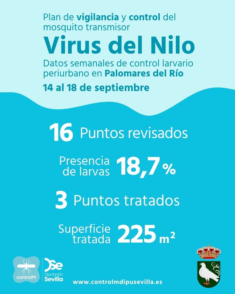 Resultados trabajos de vigilancia y control de larvas en Palomares del Río. Semana del 14 al 18 de septiembre