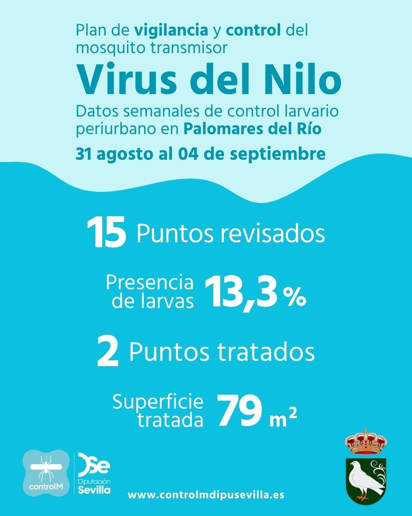 Resultados trabajos de vigilancia y control de larvas en Palomares del Río. Semana del 31 de agosto al 04 de septiembre