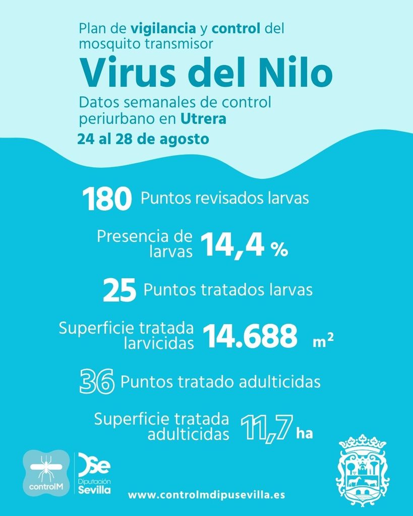 Resultados trabajos de vigilancia y control de larvas en Utrera. Semana del 24 al 28 de agosto