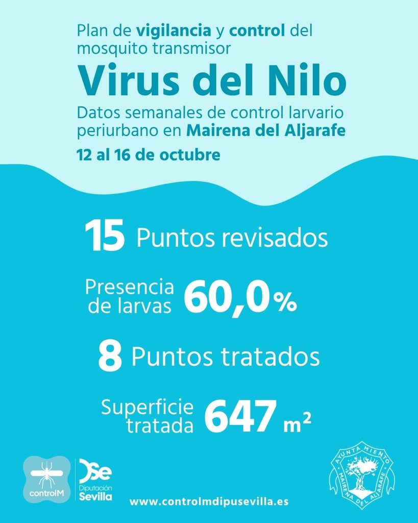 Resultados trabajos de vigilancia y control de larvas en Mairena del Aljarafe. Semana del 12 al 16 de octubre